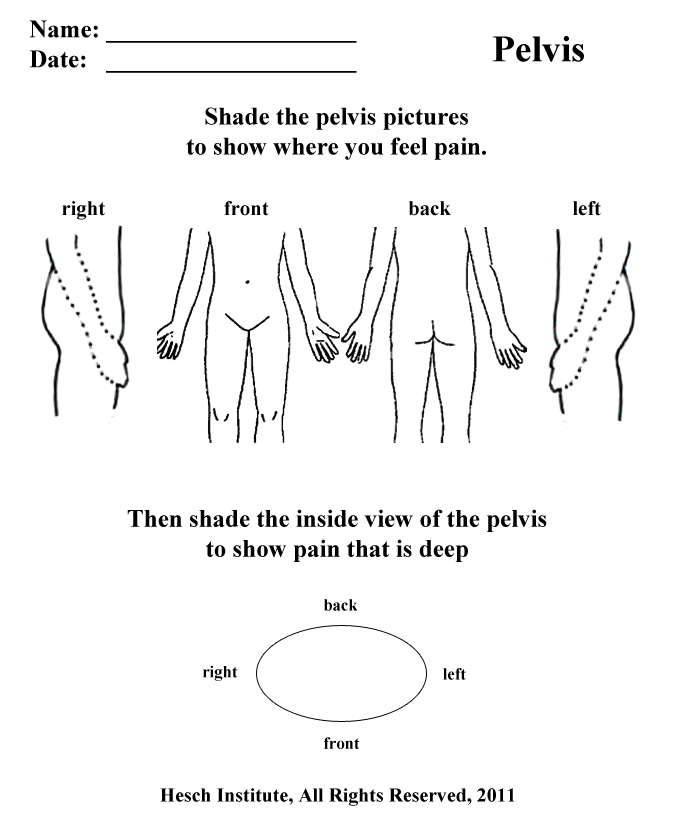 pelvis